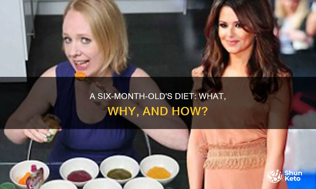 what should a 6 month old diet look like