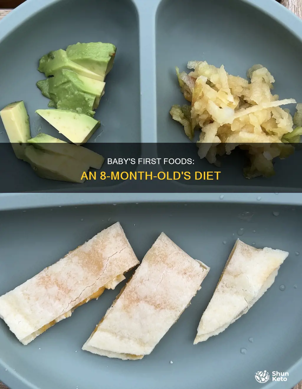 what should a 8 month old diet for a day