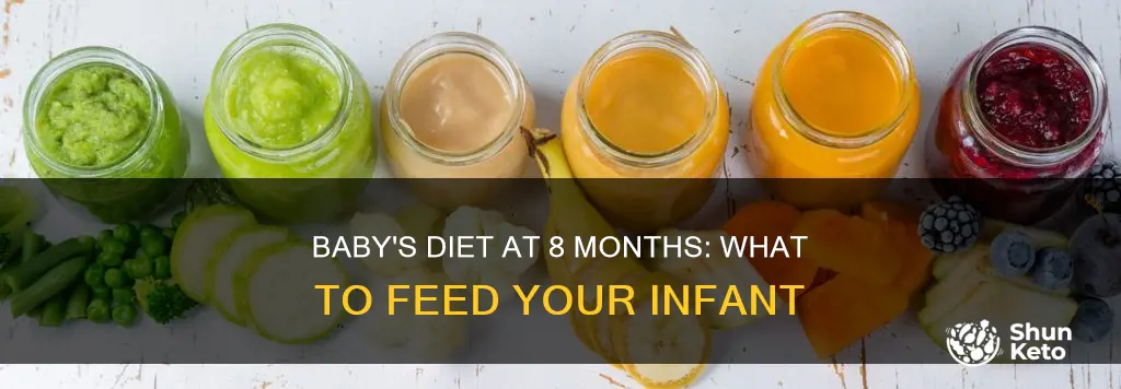 what should a 8 month old