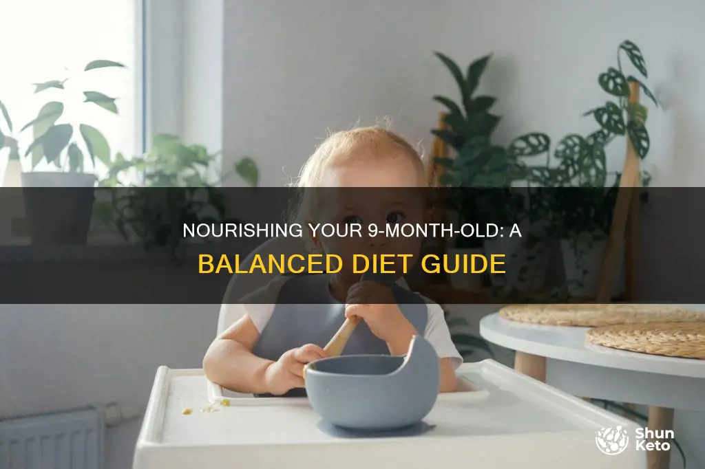 what should a 9 month old diet look like