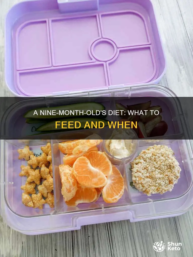 what should a 9 month old diet look like