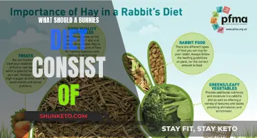 A Bunny's Diet: What to Feed Your Fluffy Friend