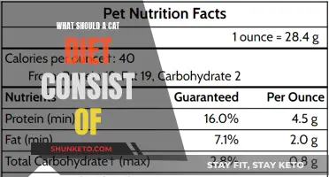 Cat Diet: Essential Nutrients and Foods for Your Feline Friend