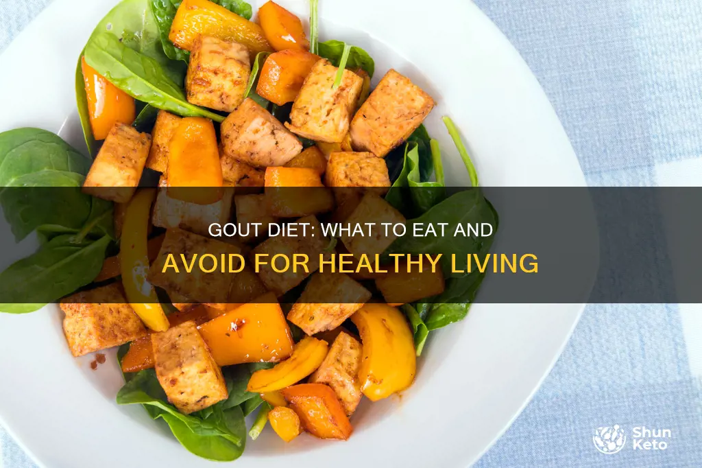 what should a diet look like when you have gout