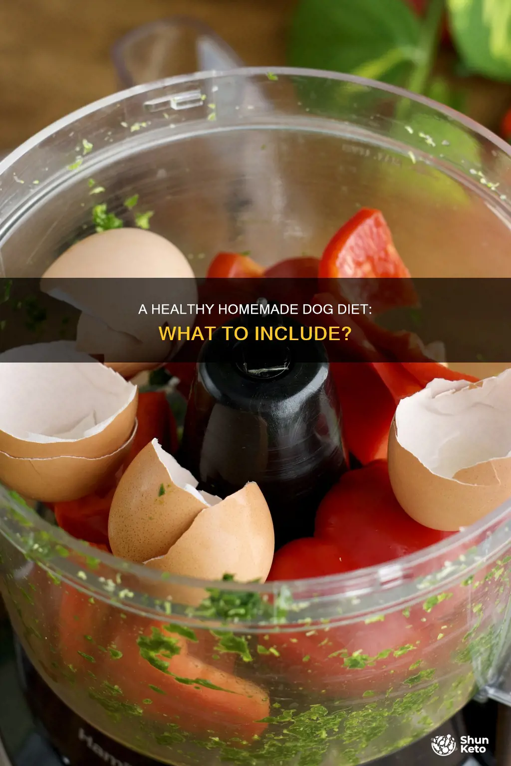 what should a home made dog diet look like
