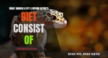 Leopard Gecko Diet: What Your Pet Needs