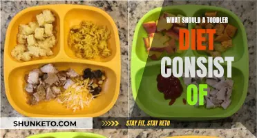 Nutrition for Toddlers: A Guide to Healthy Eating Habits