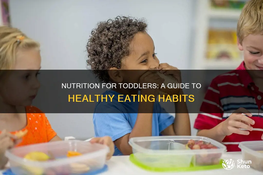 what should a toddler diet consist of