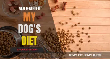A Healthy Diet for Your Dog: What to Include