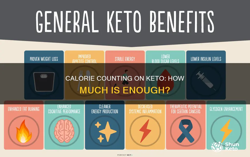 what should be my calorie intake on keto