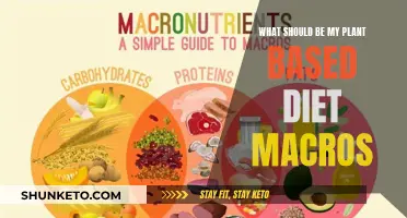 Plant-Based Macros: What's Your Diet's Magic Ratio?