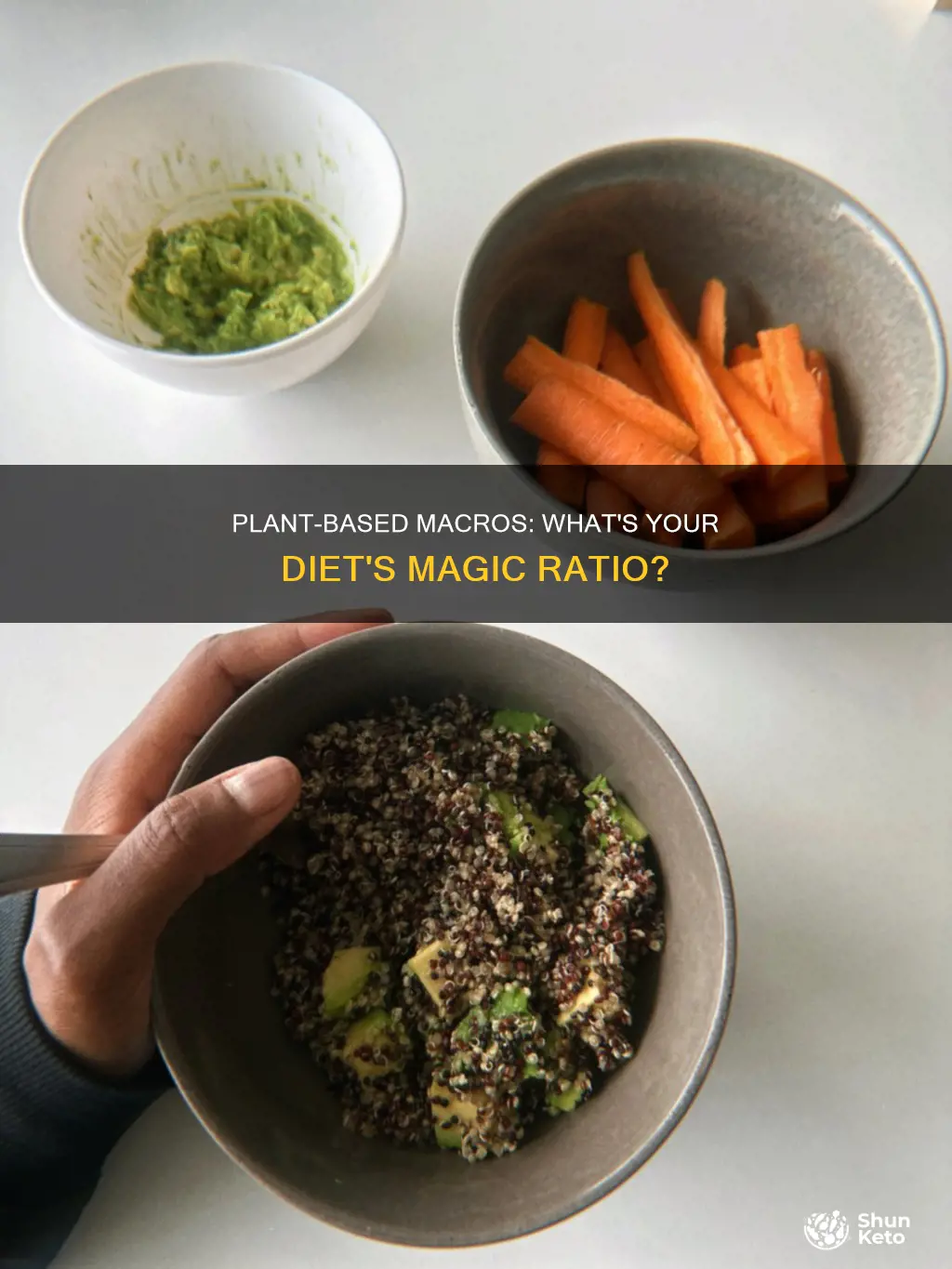 what should be my plant based diet macros