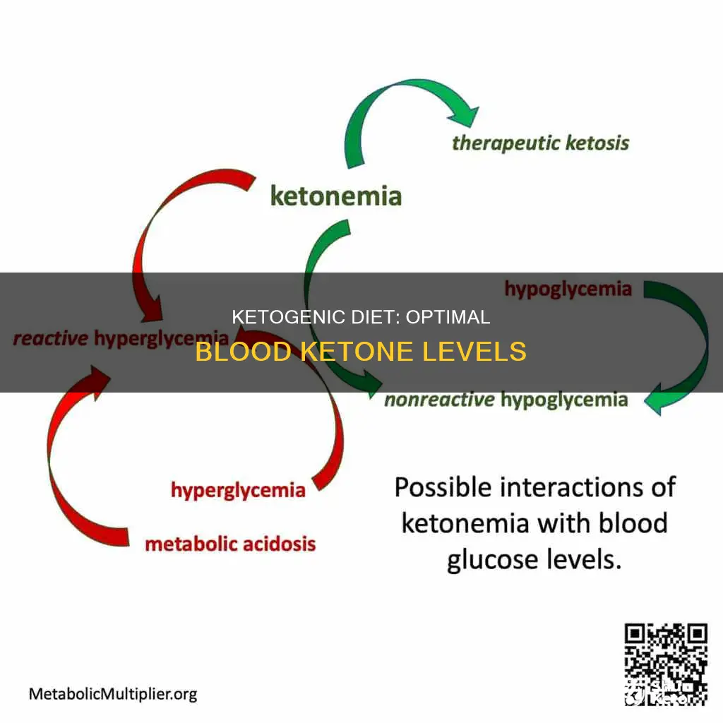 what should blood ketones be on ketogenic diet