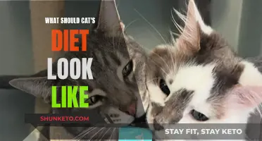 Cats' Diet: What to Feed Your Feline Friend