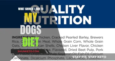 Enhance Your Dog's Diet: Tips for Owners