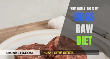 Raw Diet for Dogs: What to Include?