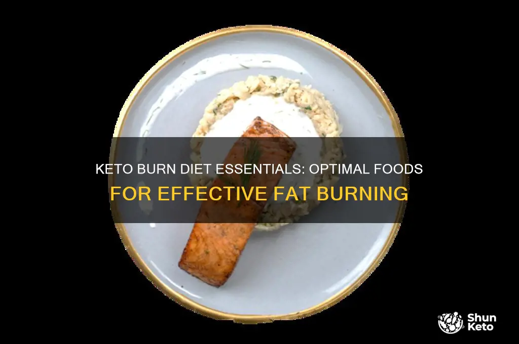 what should i be eating on the keto burn diet