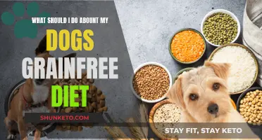 Grain-Free Dog Diet: What You Need to Know
