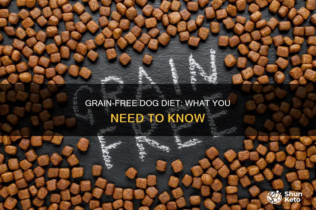 what should i do abount my dogs grainfree diet