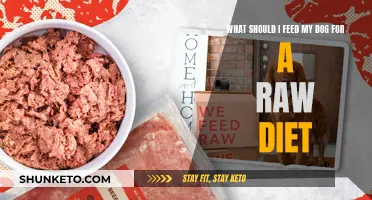 Raw Diet for Dogs: What to Feed and Why
