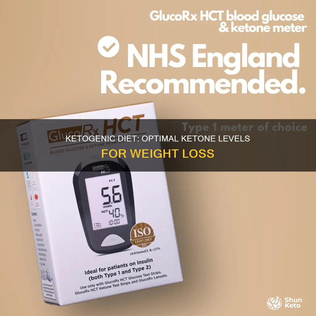 what should ketone level mg dl be on ketogenic diet