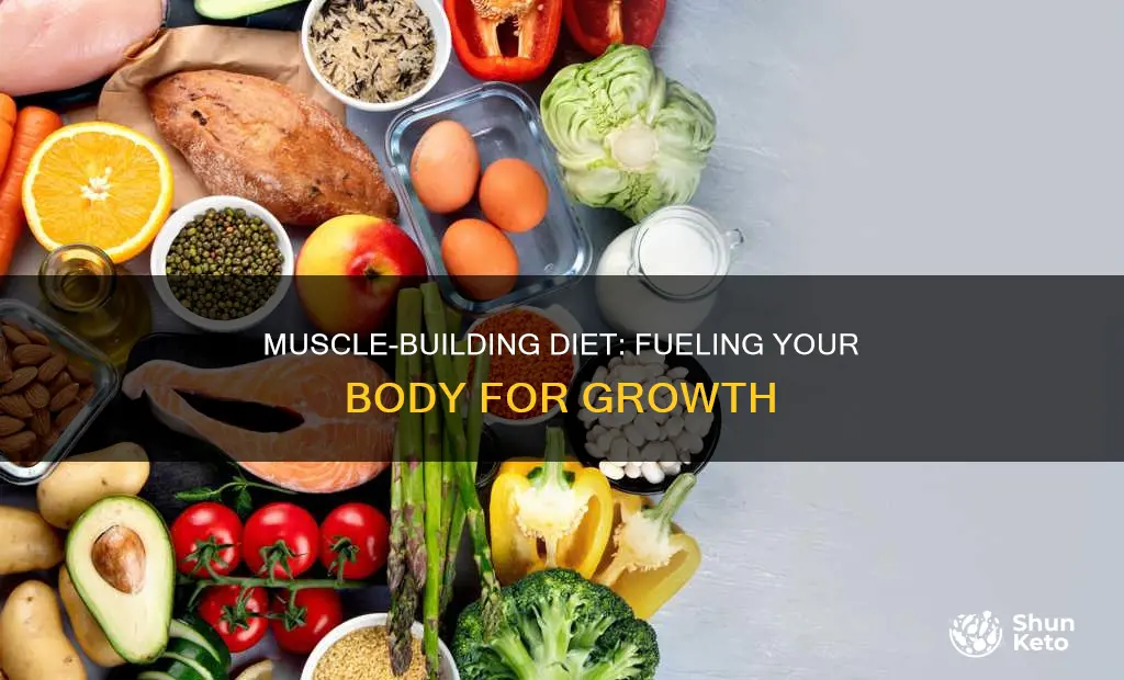 what should my diet be like for building muscle