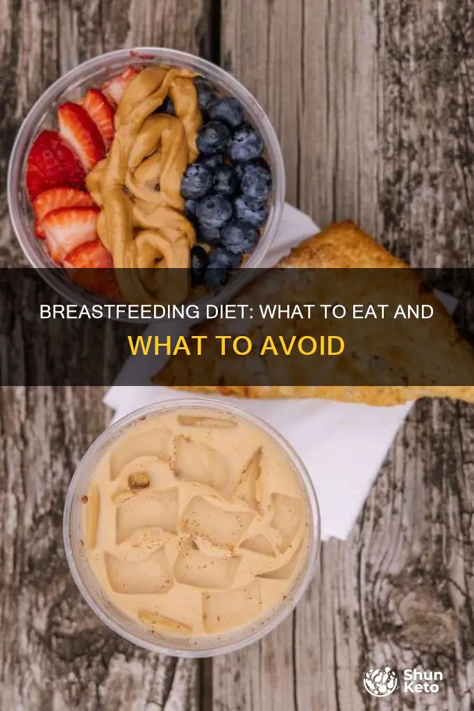 what should my diet be like while breastfeeding