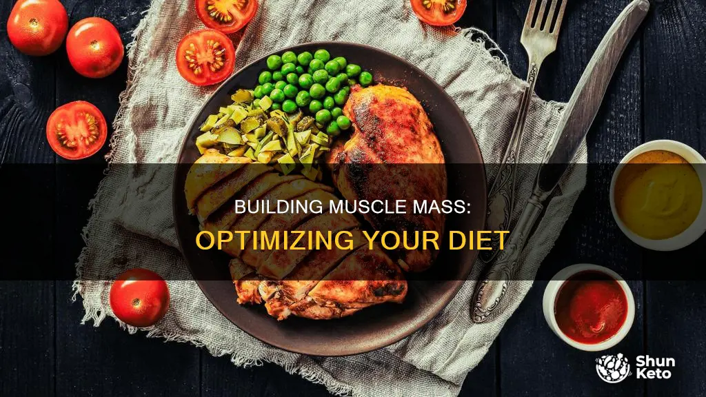 what should my diet look like muscle mass