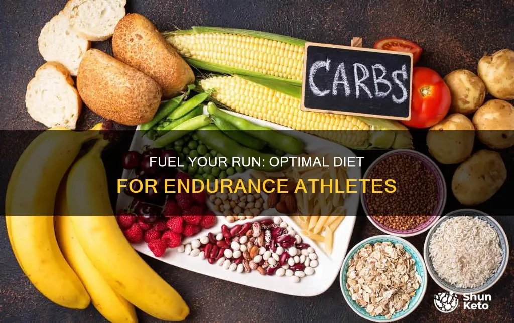 what should my diet look like when running