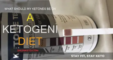 Ketogenic Diet: Ideal Ketone Levels for Weight Loss