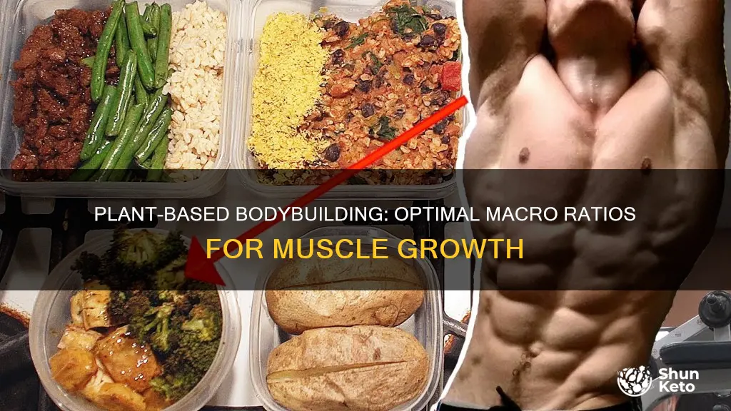 what should my plant based diet macros be for bodybuilding