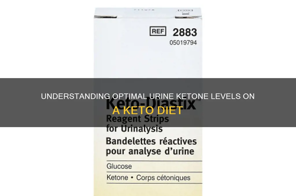 what should my urine ketones be on a keto diet