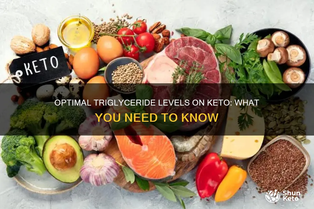 what should our triglycerides be on the keto diet