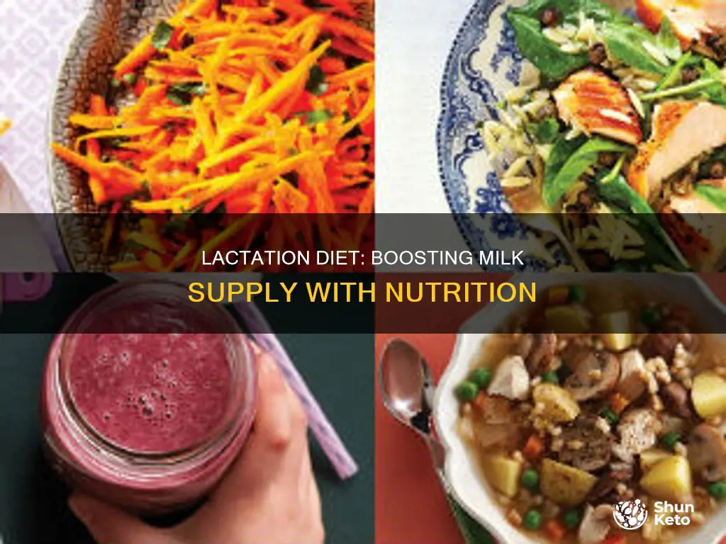 what should you increase in lactation diet