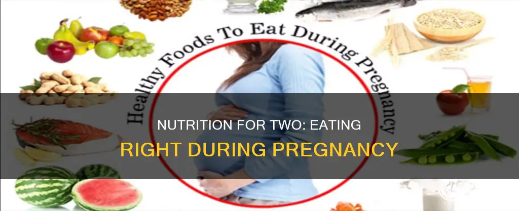 what should your diet consist of when pregnant