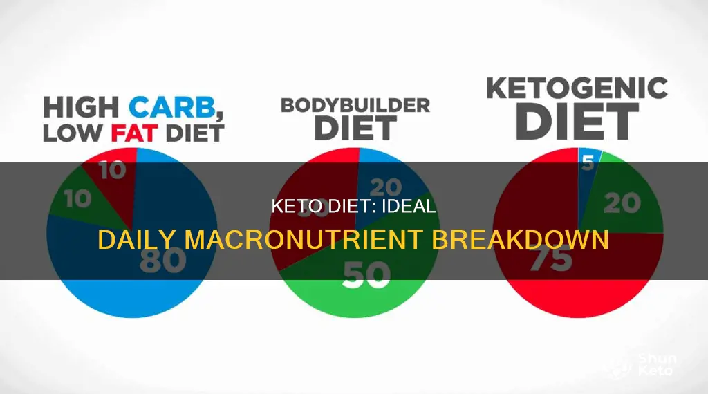 what should your macro nutrients look like daily on keto