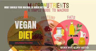 Vegan Diet Macros: What's the Right Balance for You?