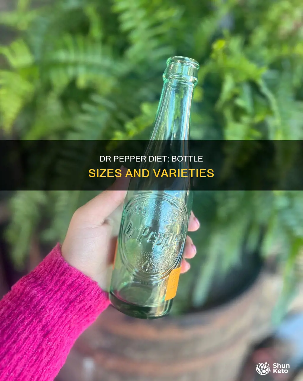 what size does diet dr pepper bottles have