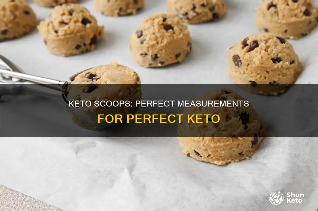 what size scoop to use with perfect keto