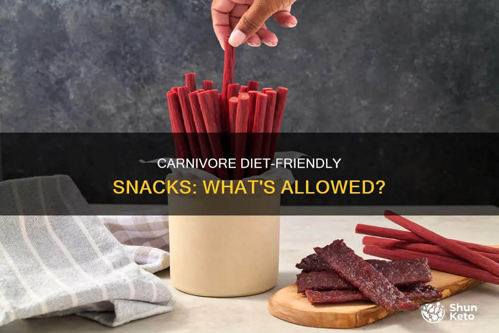 what snacks are allowed on carnivore diet