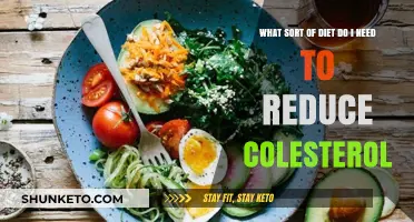 Cholesterol-Lowering Diets: What You Need to Know
