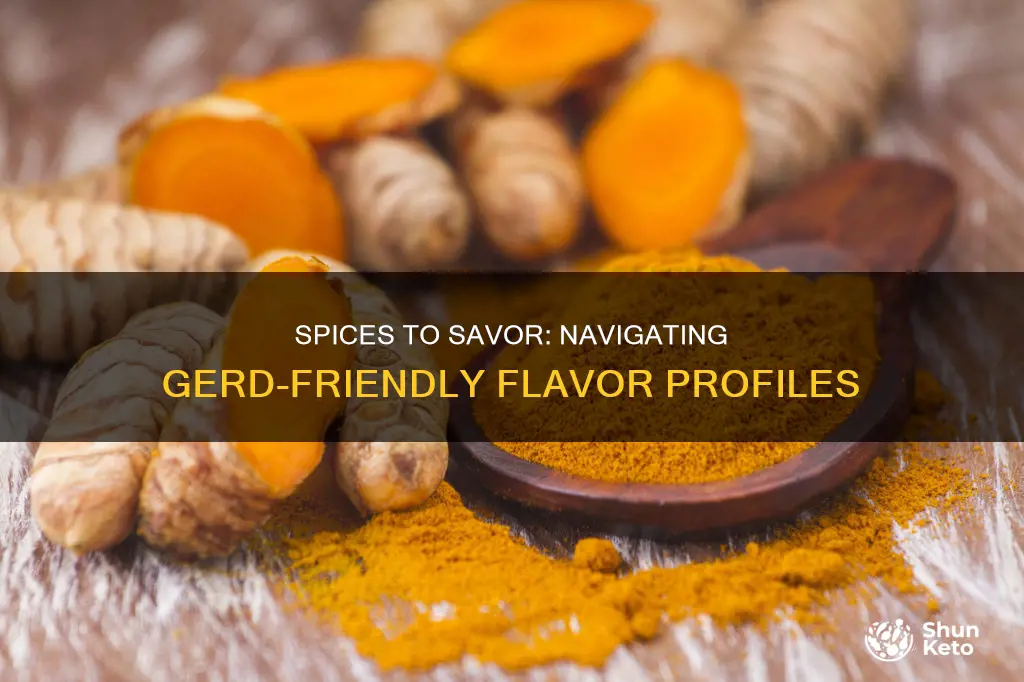 what spices are allowed on a gerd diet