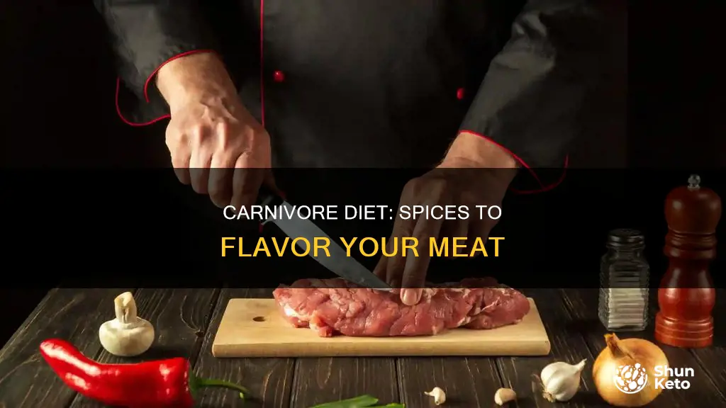 what spices are allowed on carnivore diet