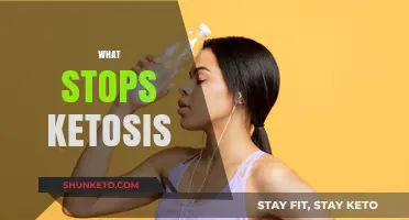 Breaking Ketosis: Common Mistakes That Halt Fat-Burning Mode