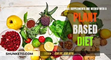 Plant-Based Diets: Essential Supplements for Optimal Health