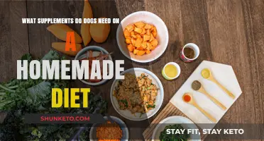Supplementing Homemade Dog Food: What Do They Need?