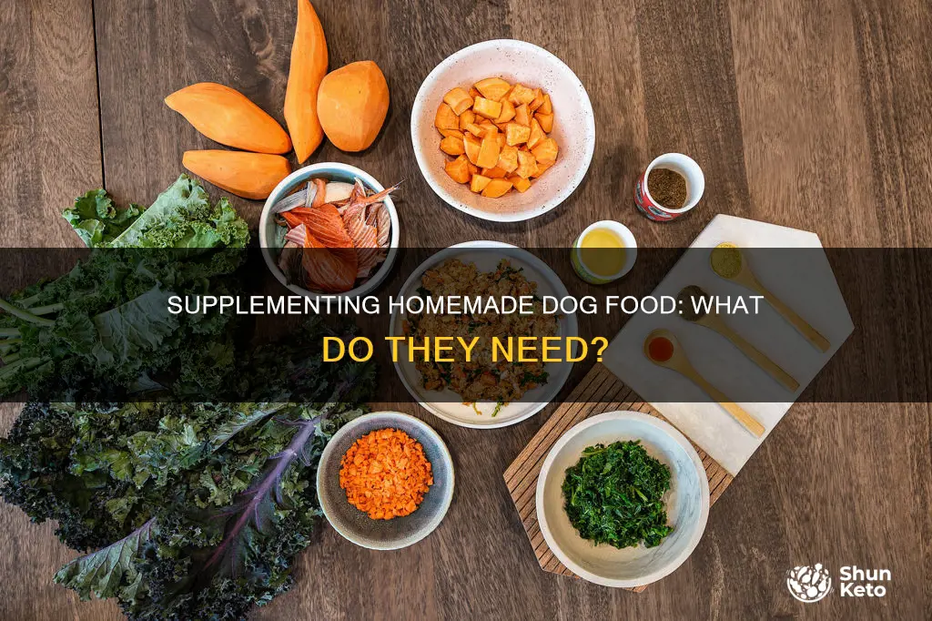 what supplements do dogs need on a homemade diet