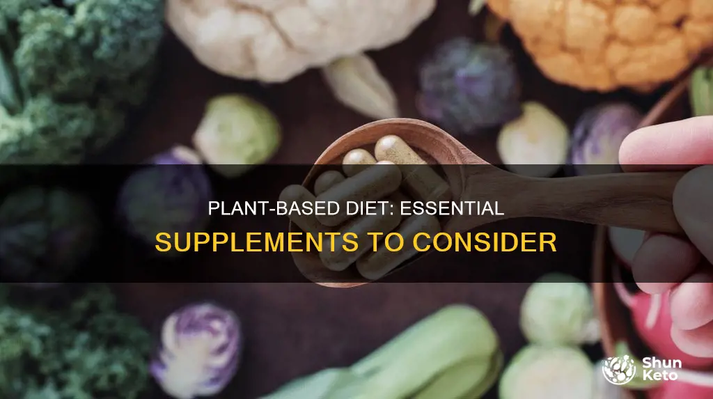 what supplements should i take on a plant based diet