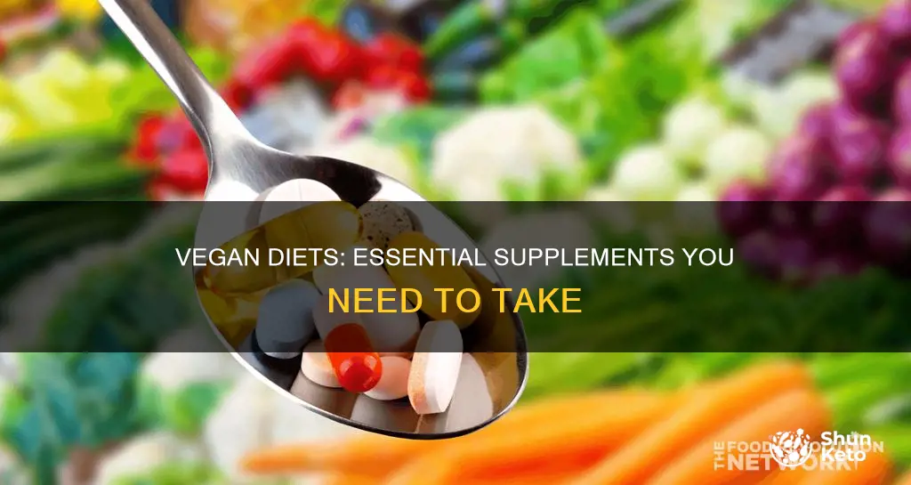 what supplements should i take on a vegan diet