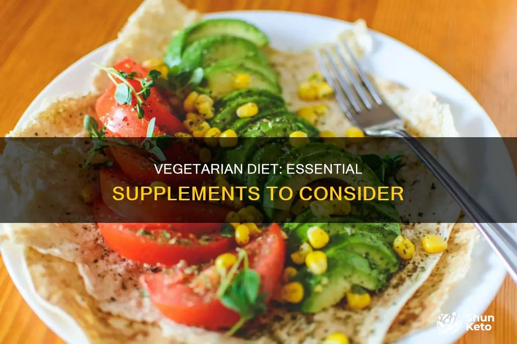 what supplements should i take on a vegetarian diet
